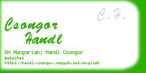 csongor handl business card